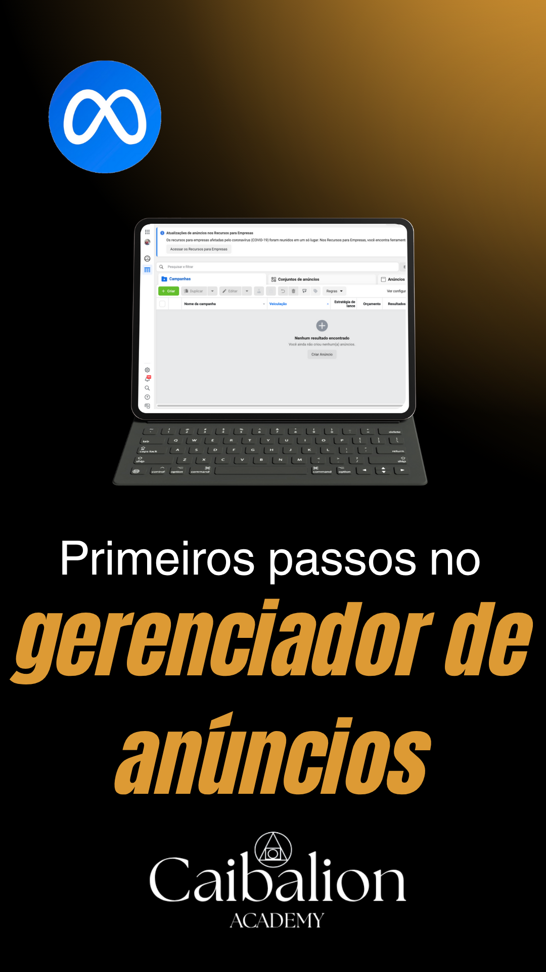 tráfego pago (1)