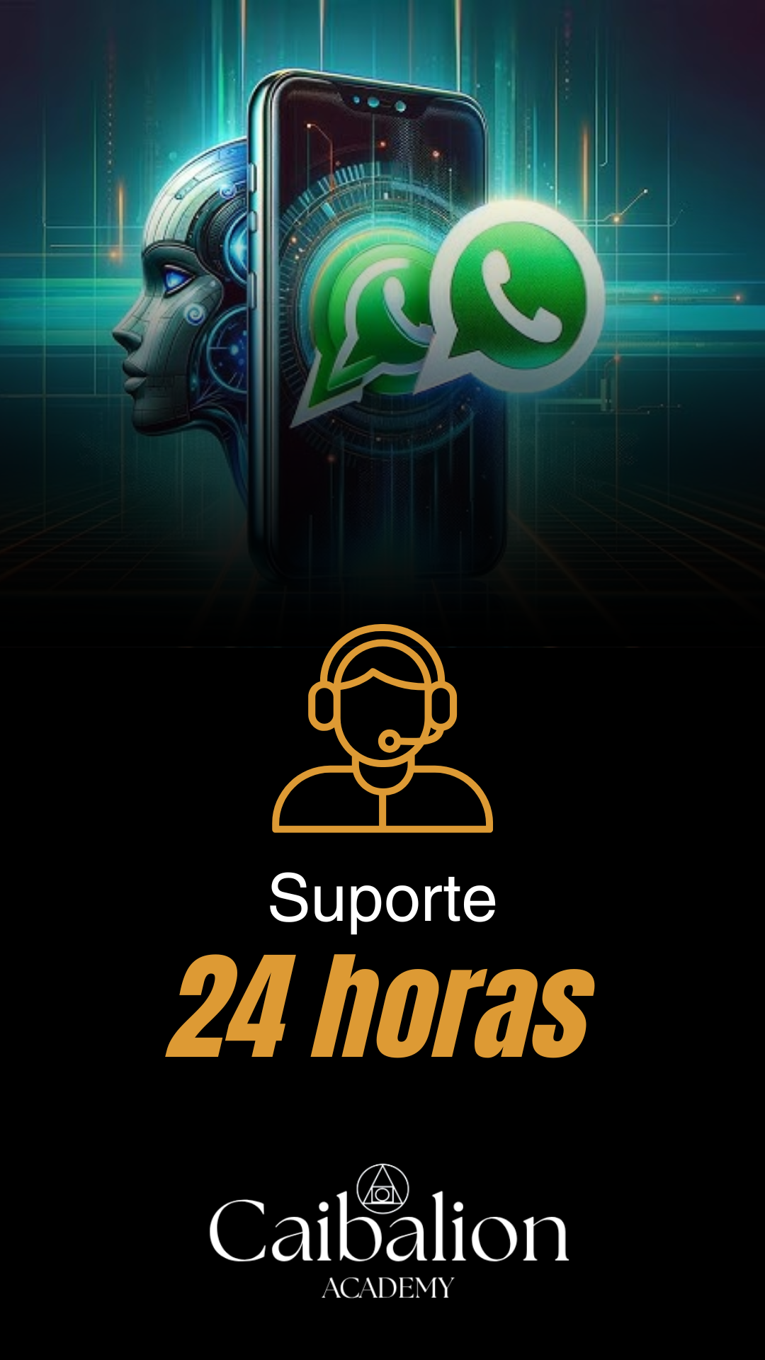 tráfego pago (12)
