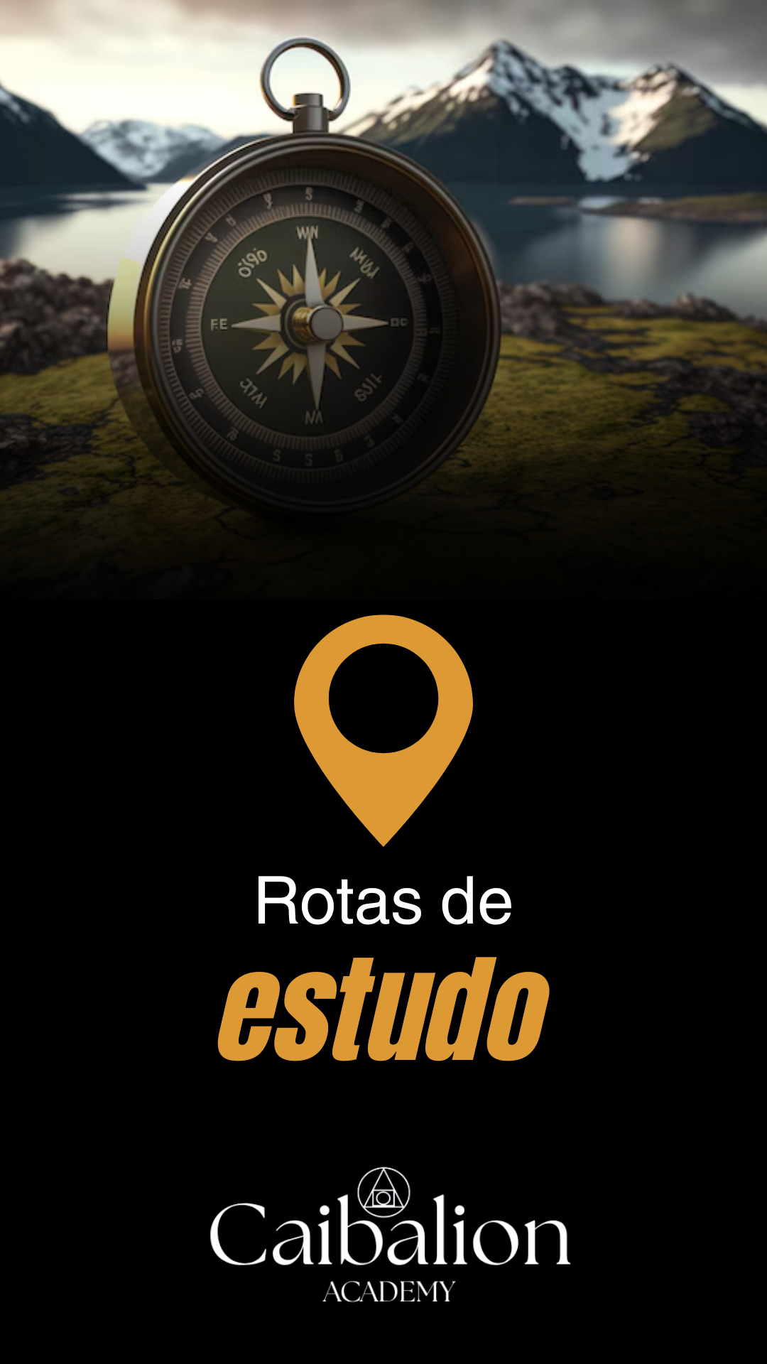 tráfego pago (13)