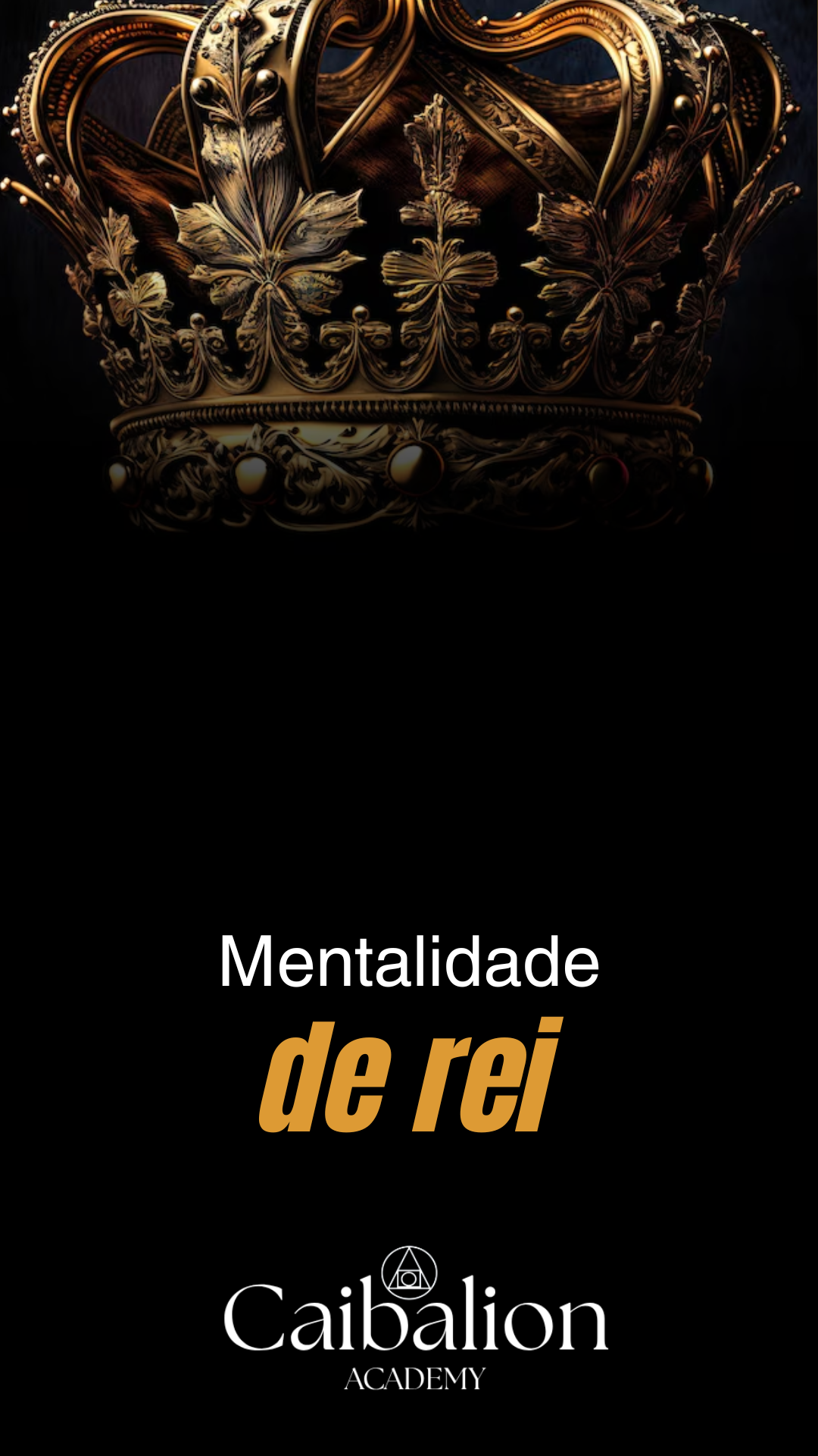 tráfego pago (15)