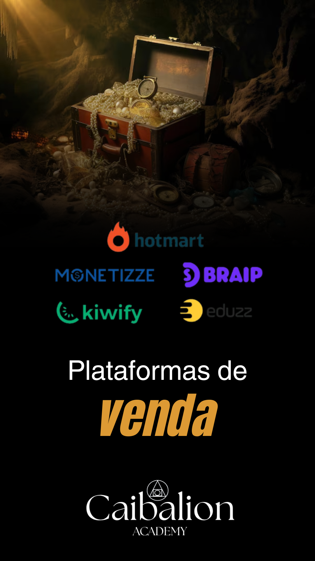 tráfego pago (17)