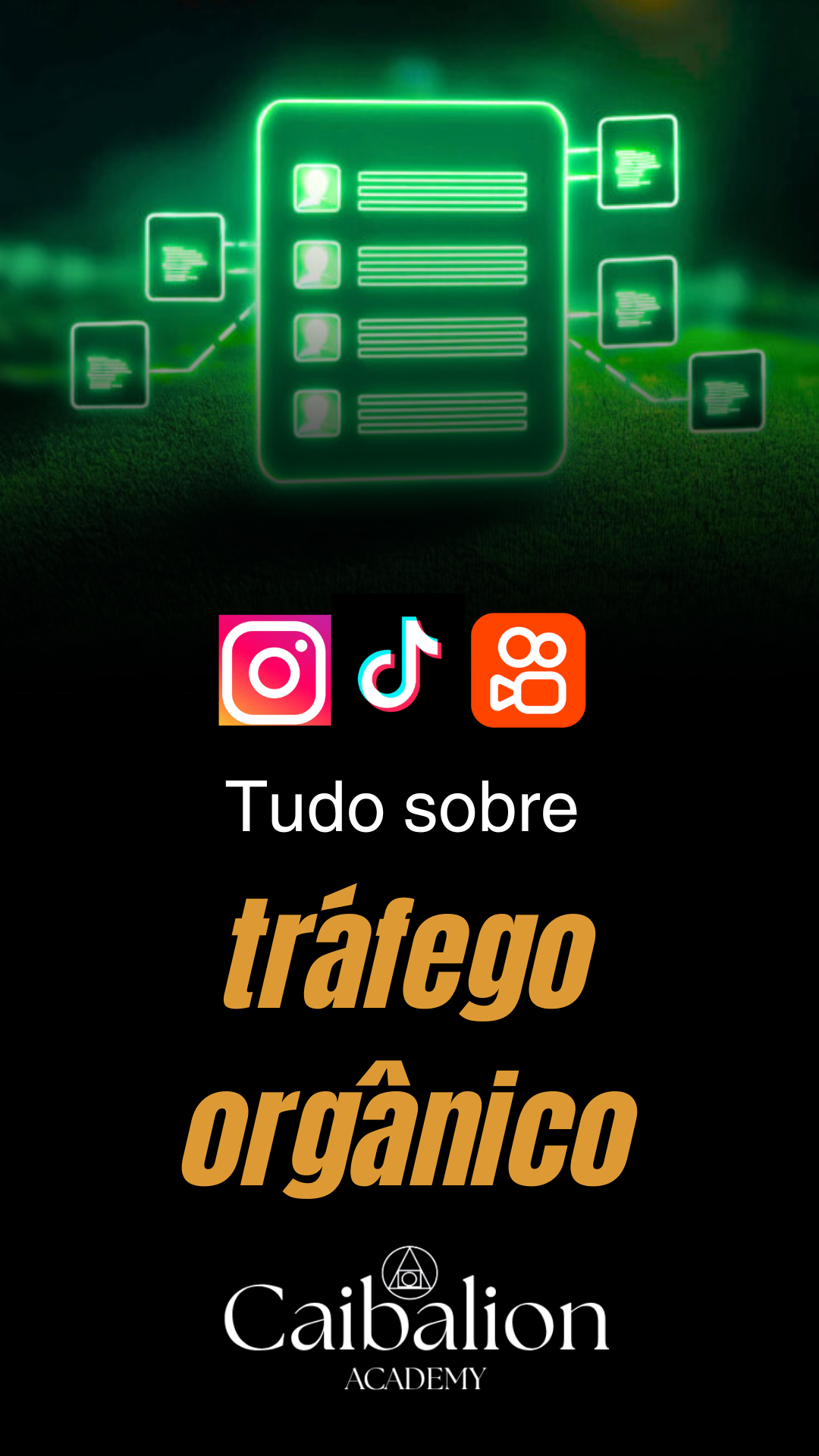 tráfego pago (18)