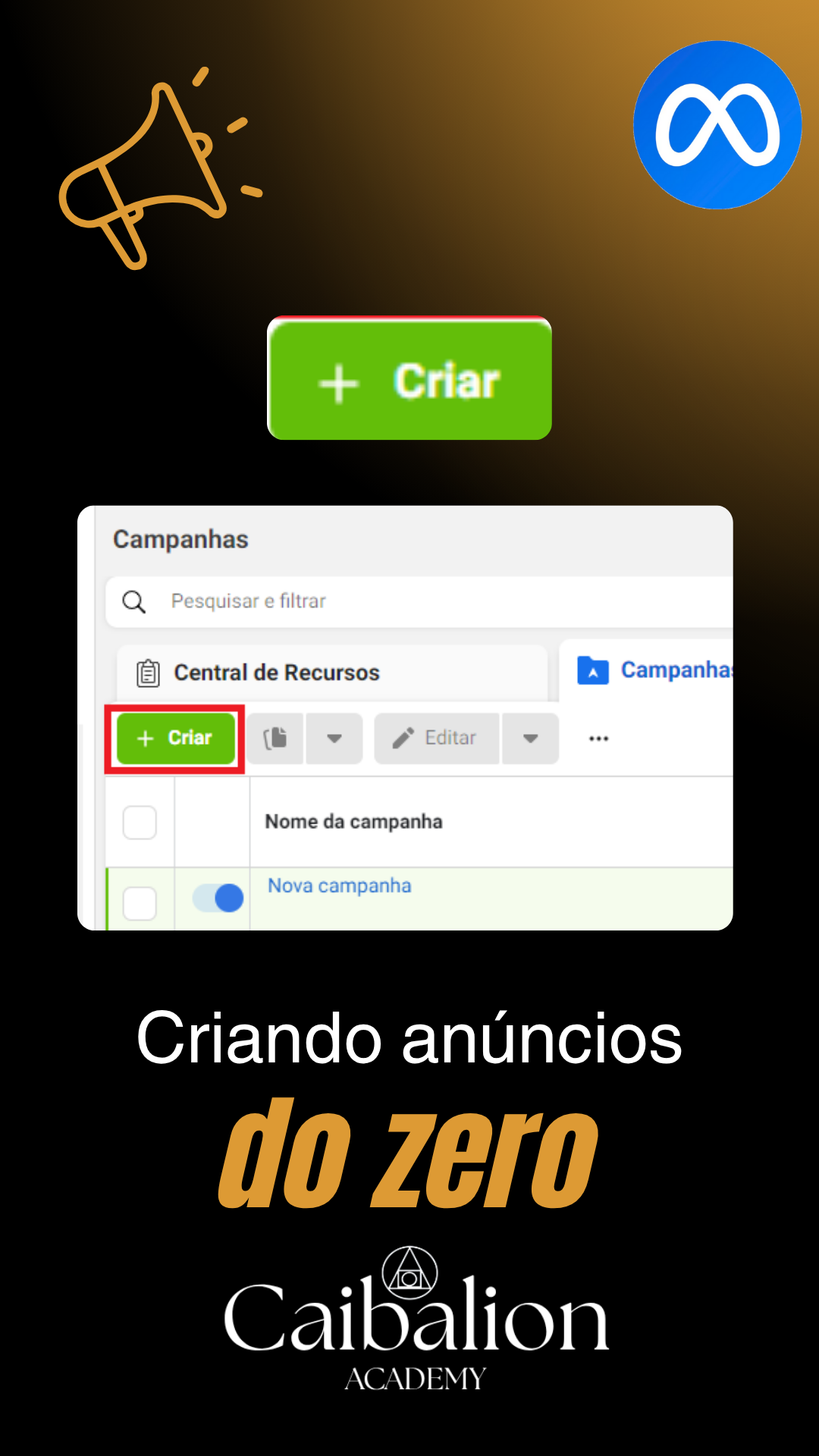 tráfego pago (3)