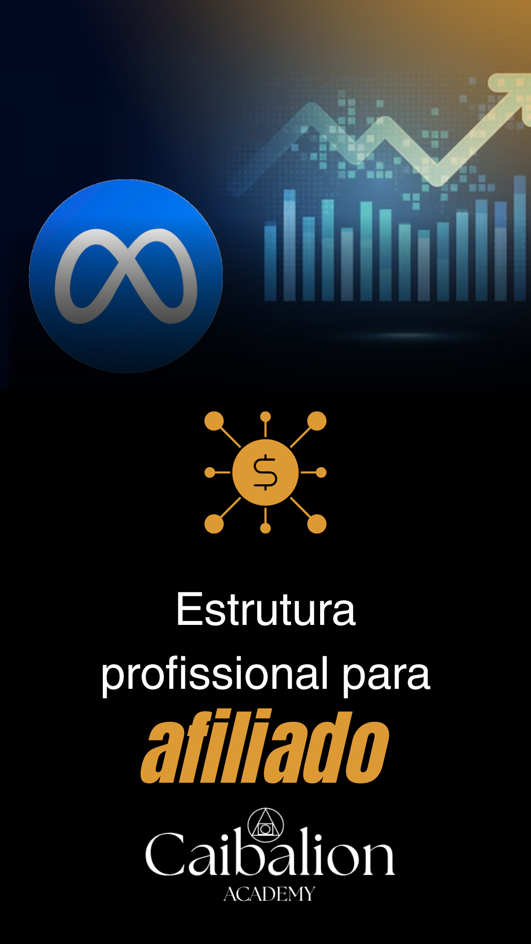 tráfego pago (4)