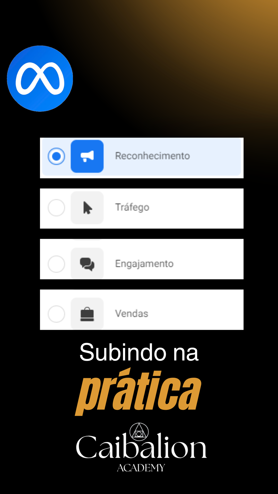 tráfego pago (6)