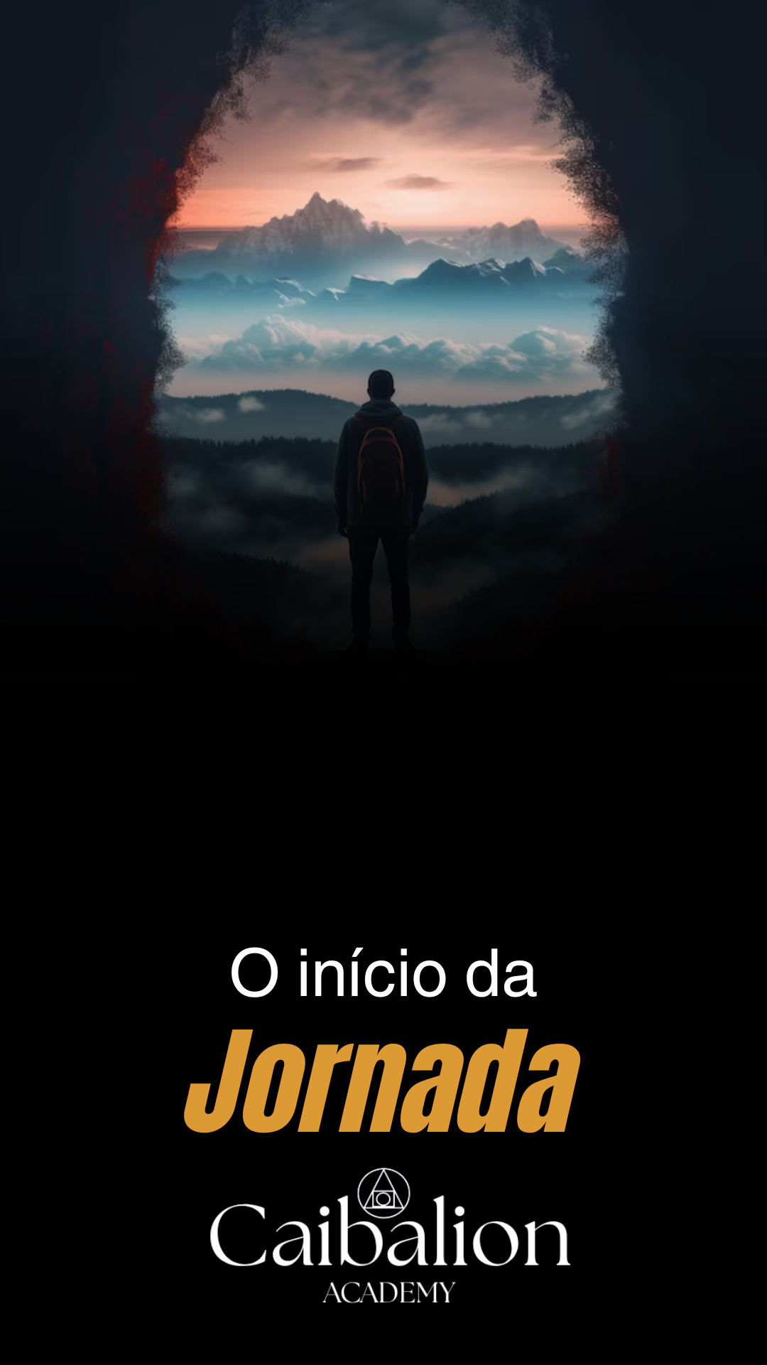 tráfego pago (8)